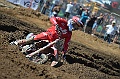 _ROB6966 (Copy)